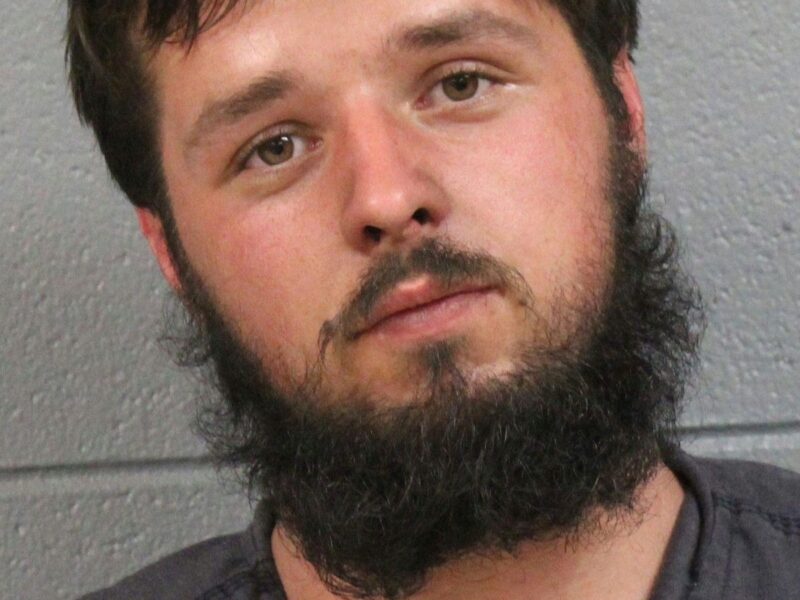 Wolf, Hunter Allen Robert