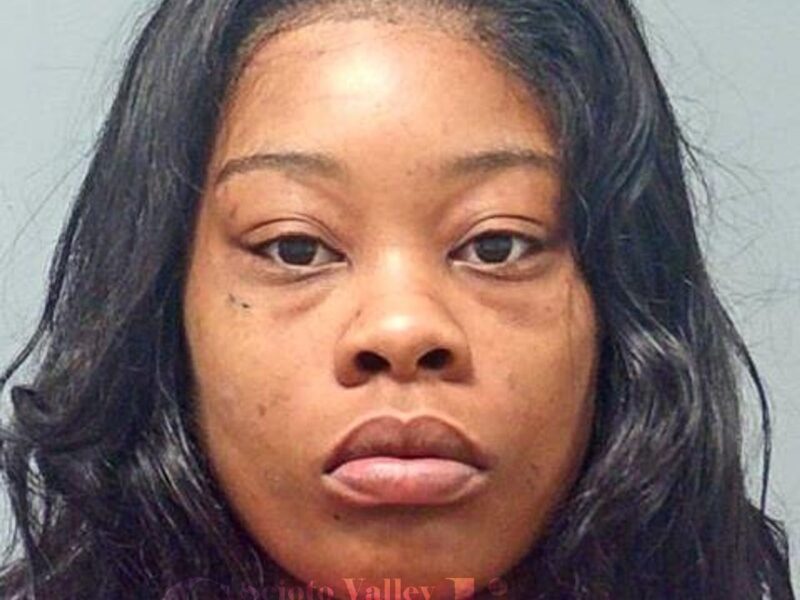 Robinson, Shaneka L