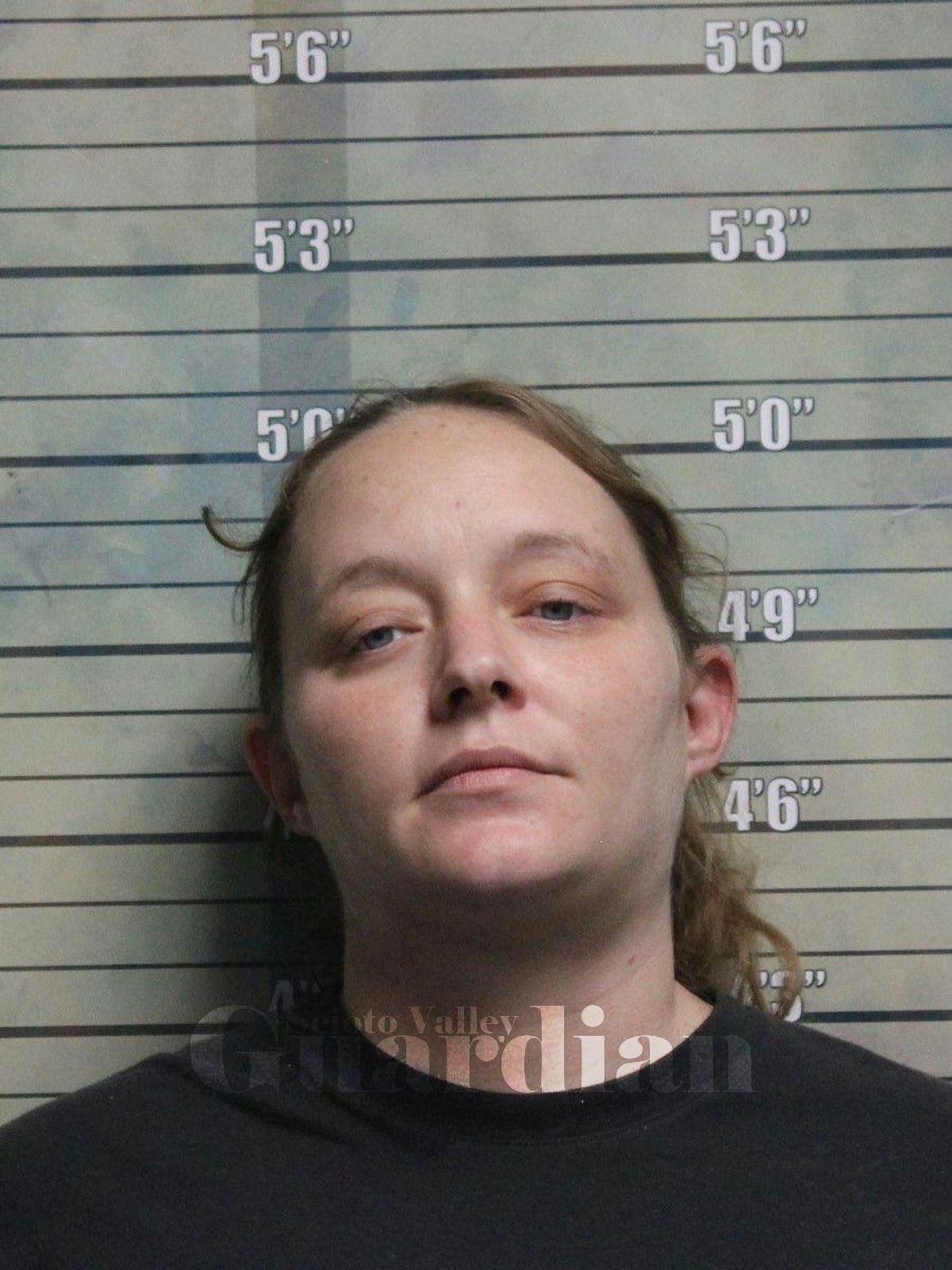Hensley, Misty Dawn
