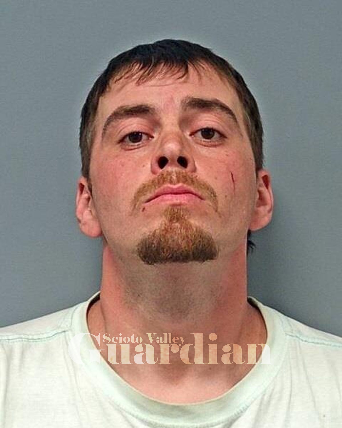 Hollingshead, Edward