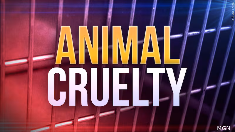 Batavia man faces nine counts of animal cruelty after dead dog, starving pets found abandoned