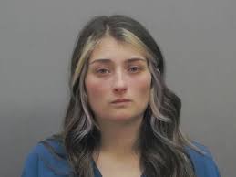 Milford woman indicted on identity fraud, theft charges