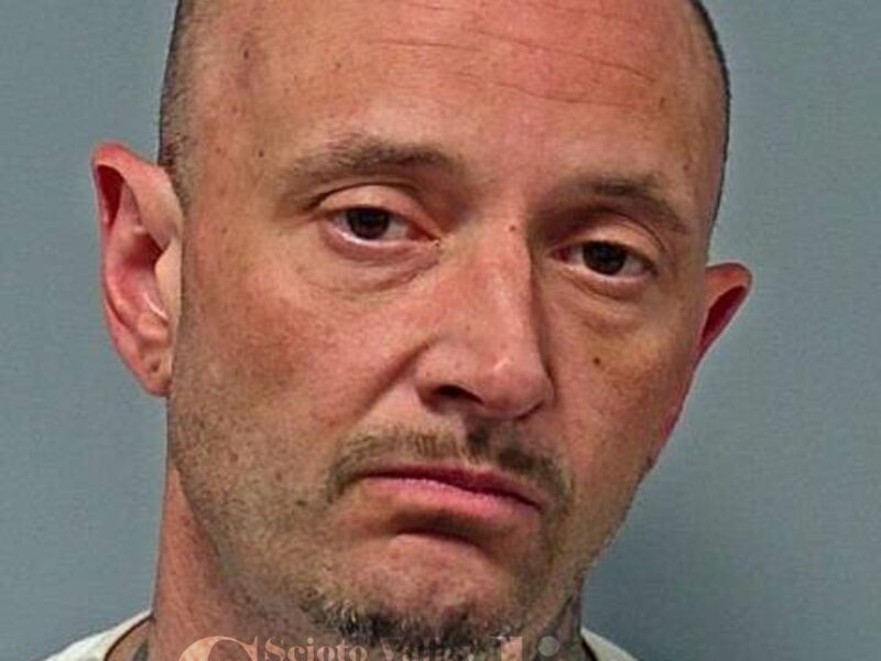 Holt, David C