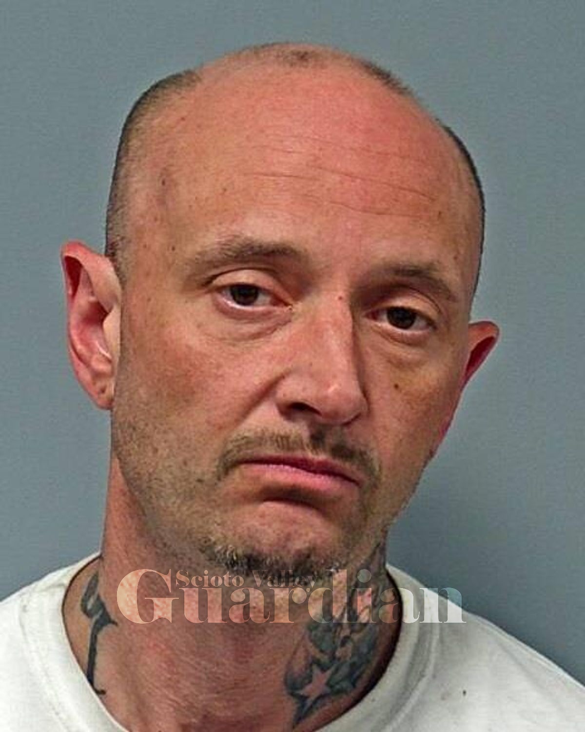 Holt, David C