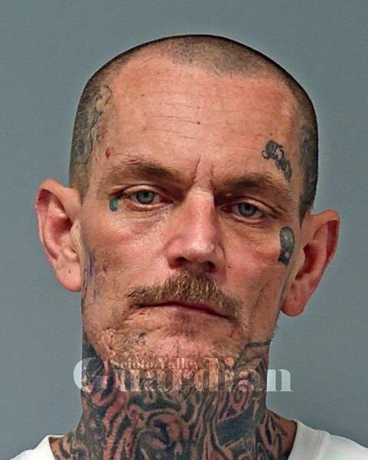 Pursley, Shane Wilson