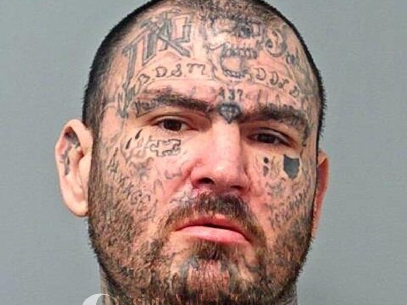 Stutz, Andrew Michael