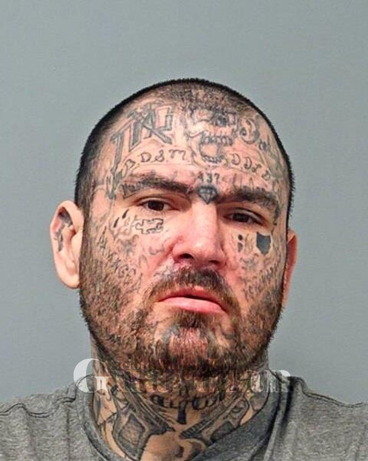 Stutz, Andrew Michael