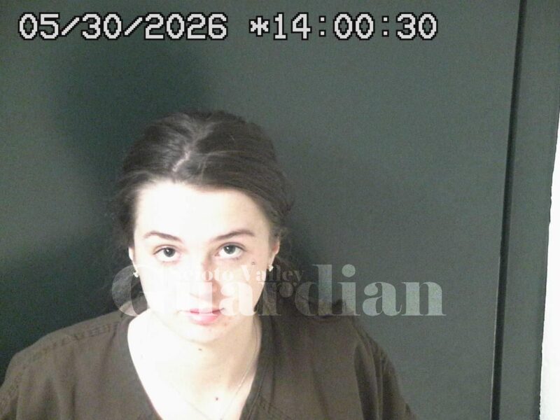 Banner, Hailee Madison
