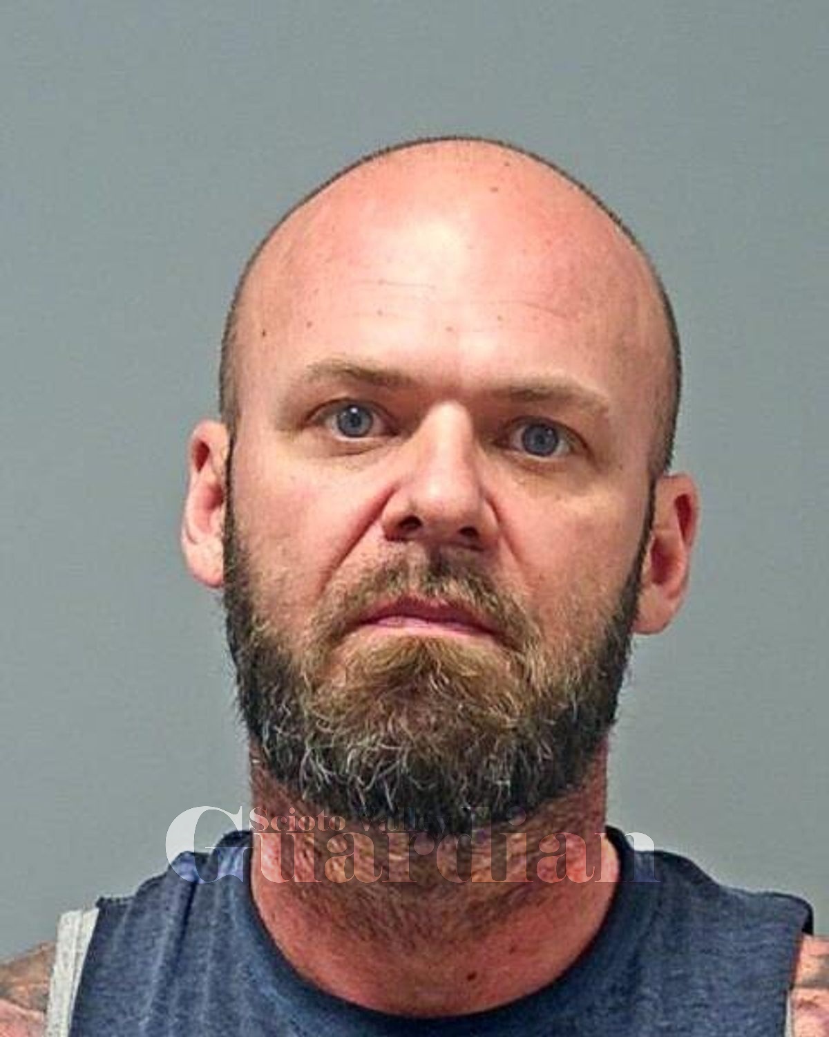 Shackelford, Travis L