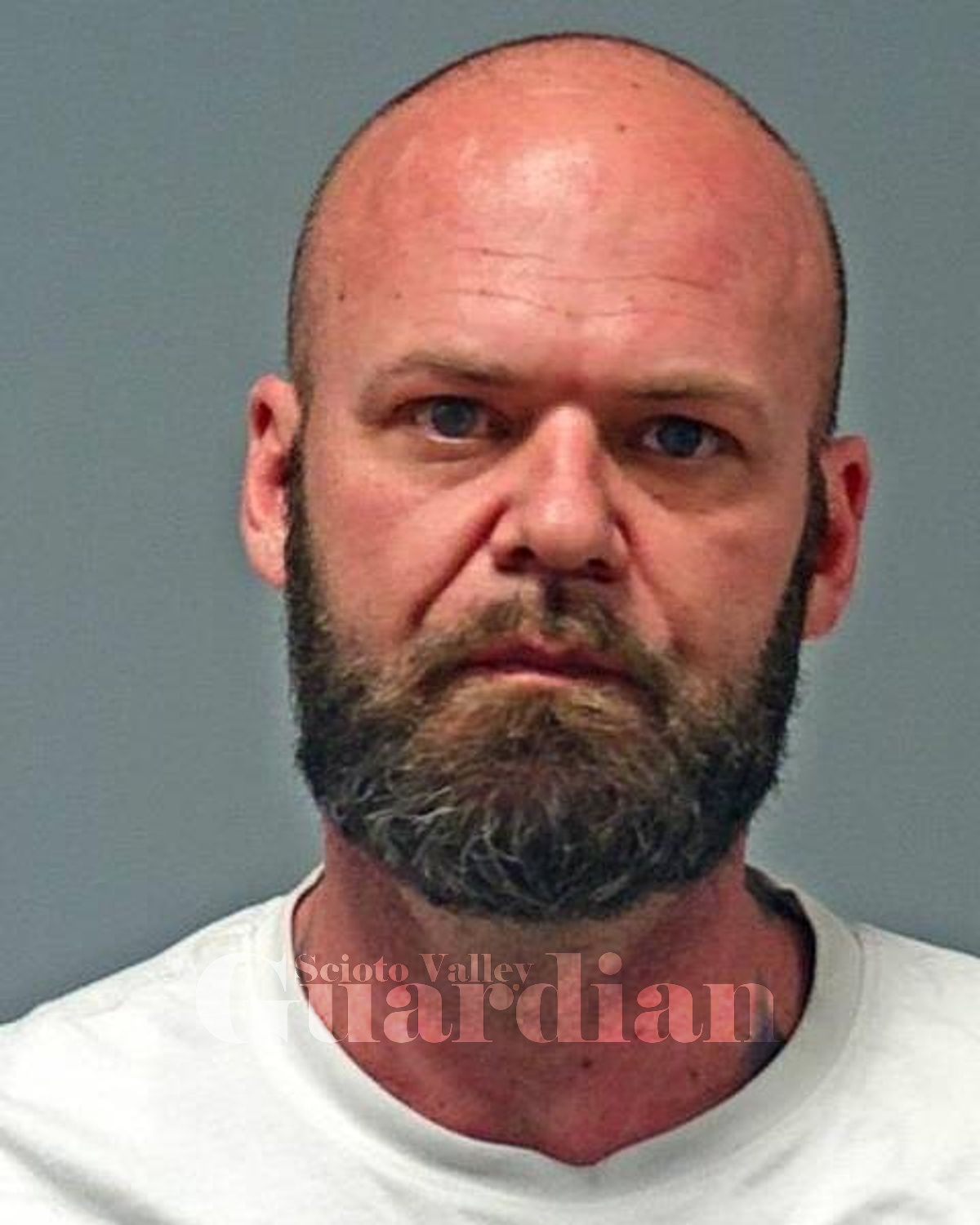 Shackelford, Travis L