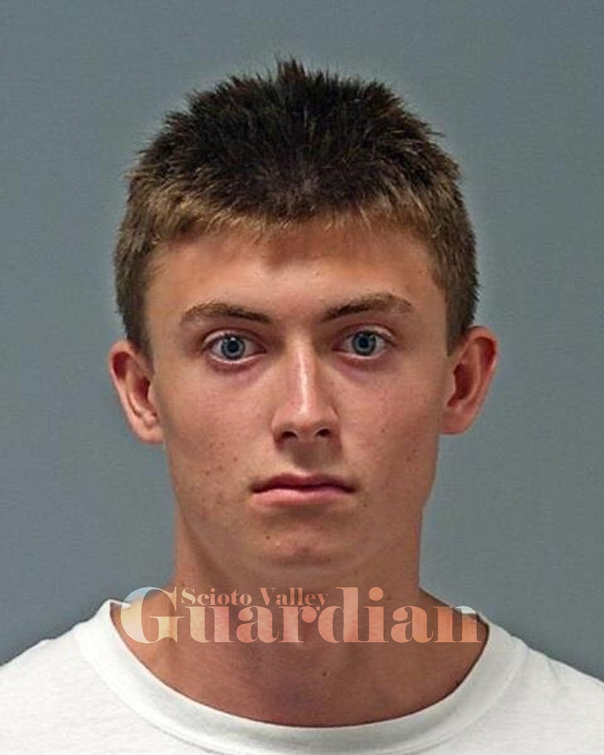 Polter, Gavin Lucas