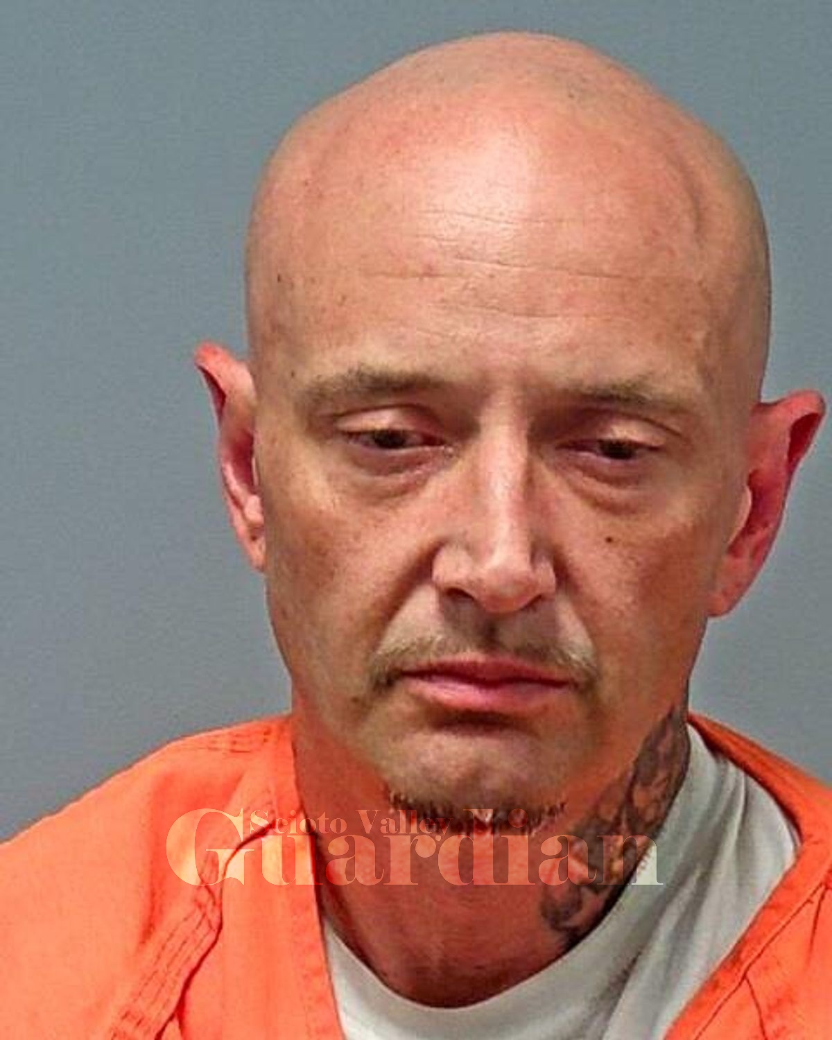 Holt, David C
