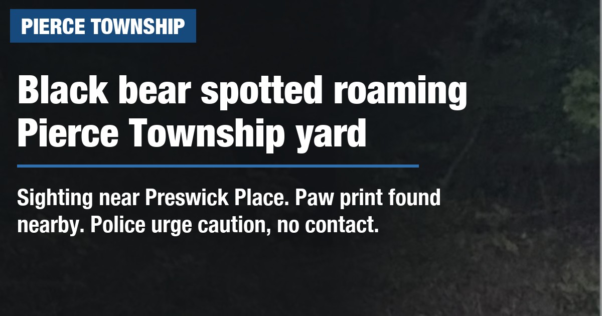 Black bear spotted roaming Pierce Township yard