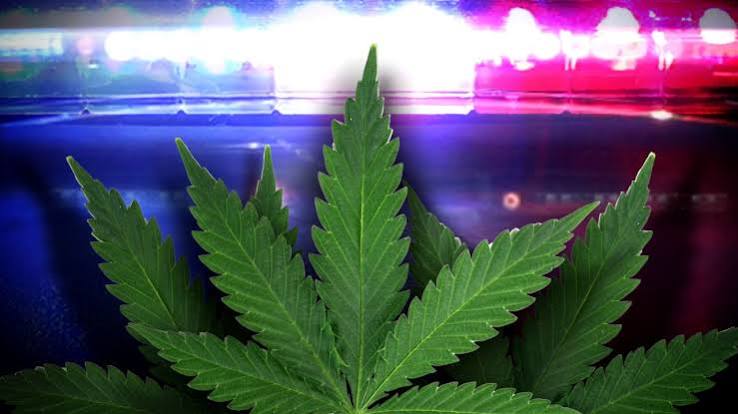 2-year-old's medical emergency uncovers massive marijuana grow operation in Clermont County