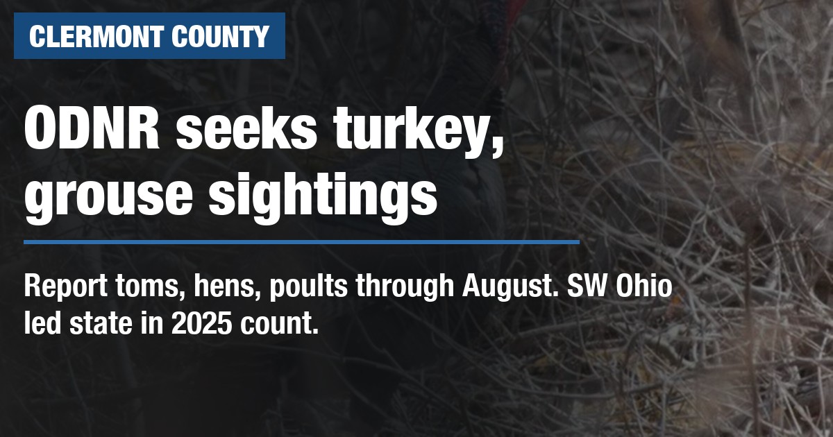 ODNR seeks turkey, grouse sightings