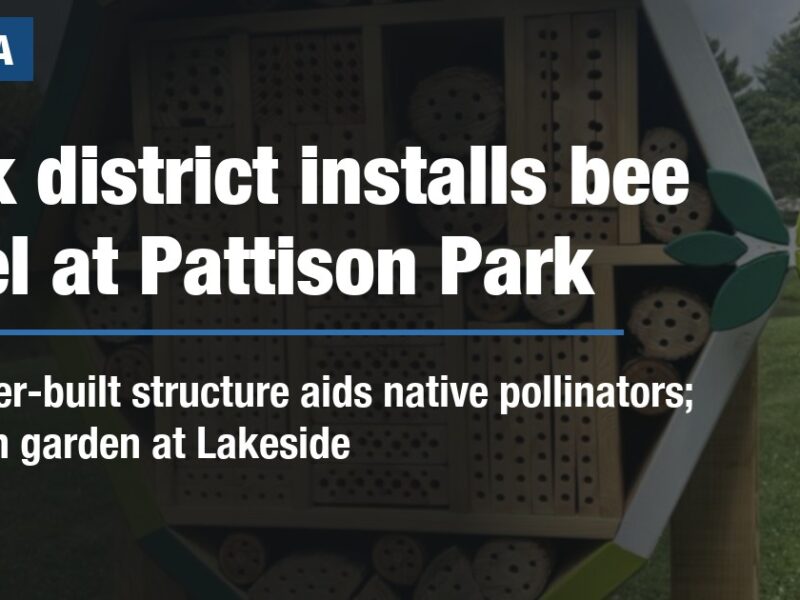 Park district installs bee hotel at Pattison Park