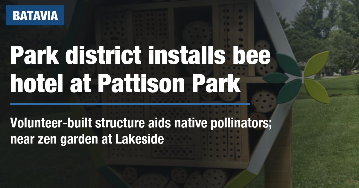 Park district installs bee hotel at Pattison Park