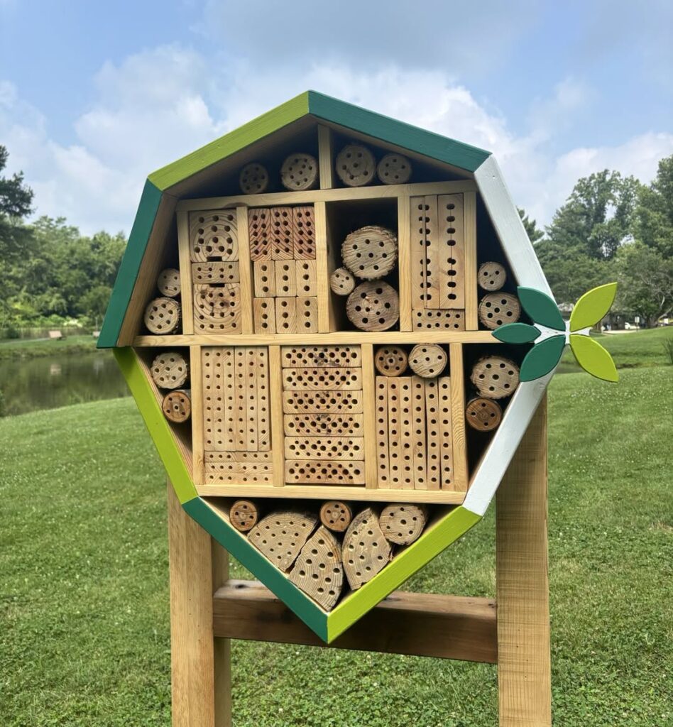 New bee hotel at Pattison Park Lakeside