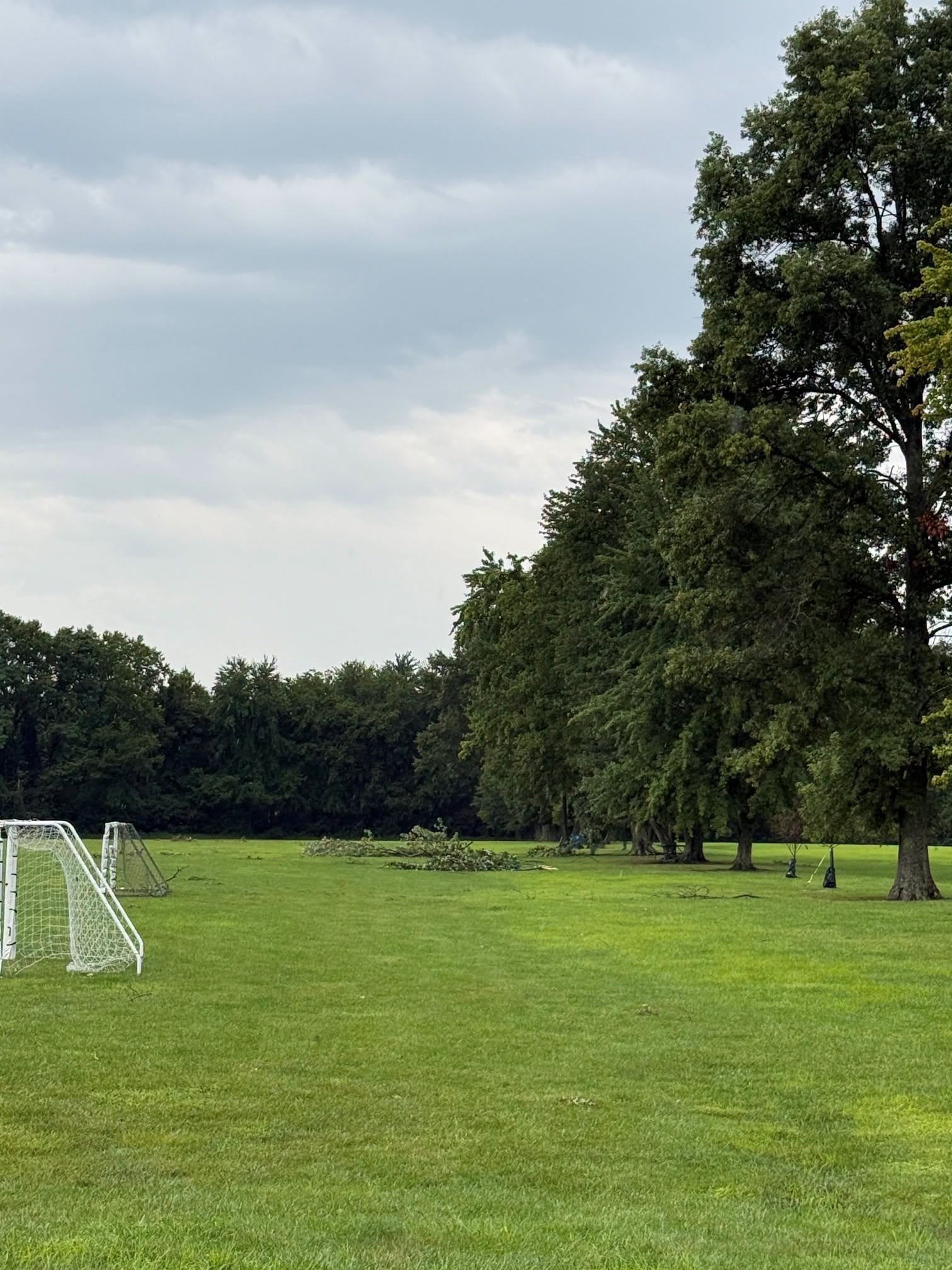 Downed branches litter a Batavia Township Park athletic field after the storm