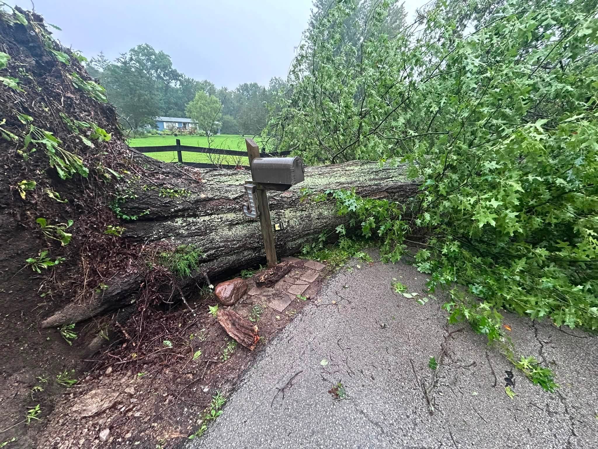 A large tree lies across a Clermont County driveway after this week's storms