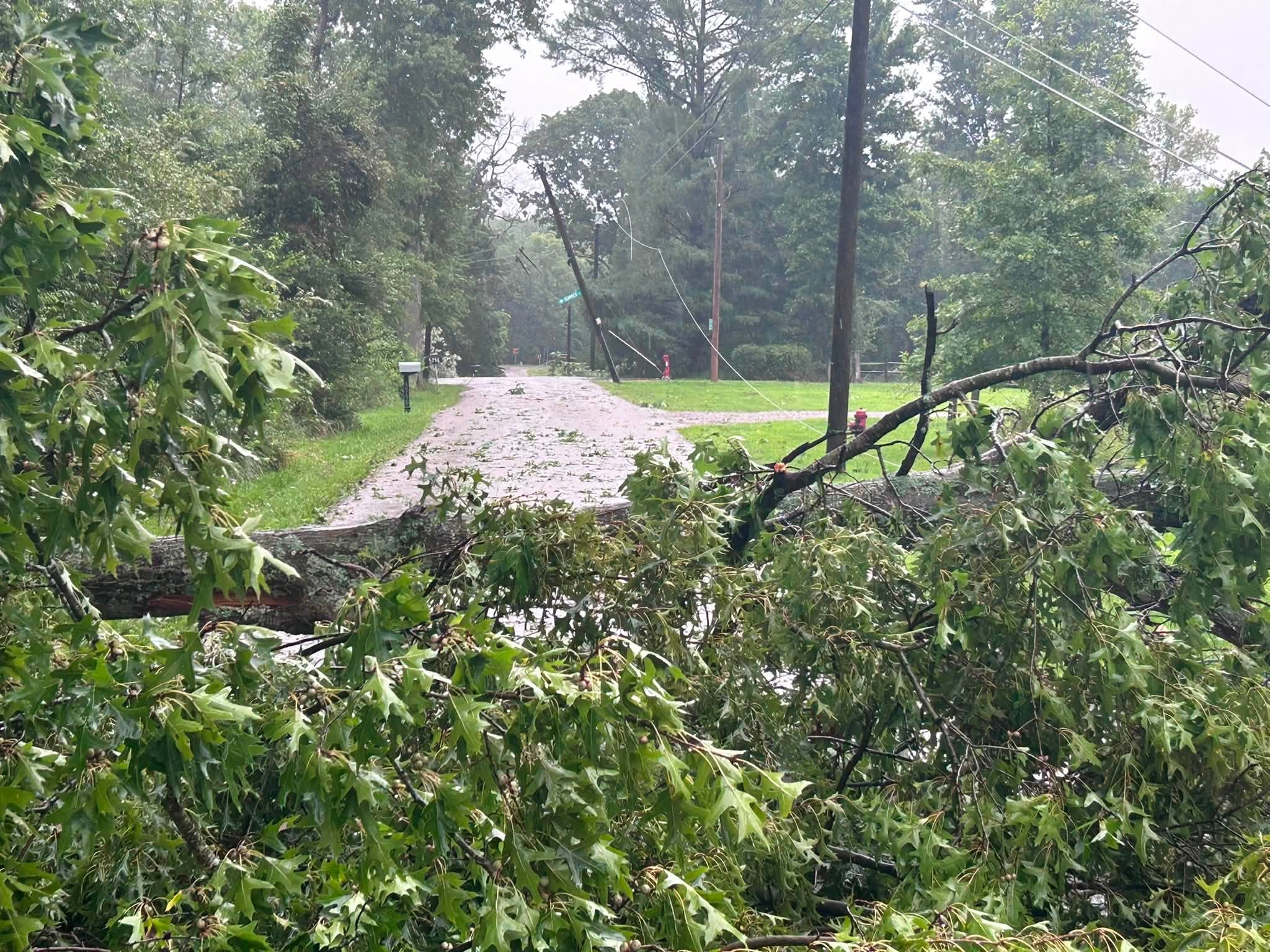 A fallen tree blocks a Clermont County road as a utility pole leans in the background