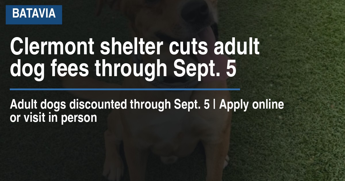 Clermont shelter cuts adult dog fees through Sept. 5