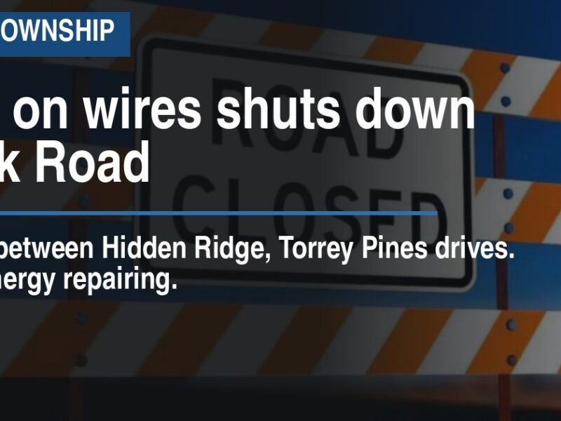 Tree on wires shuts down Cook Road