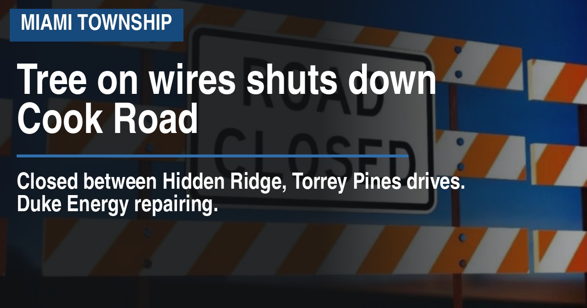 Tree on wires shuts down Cook Road