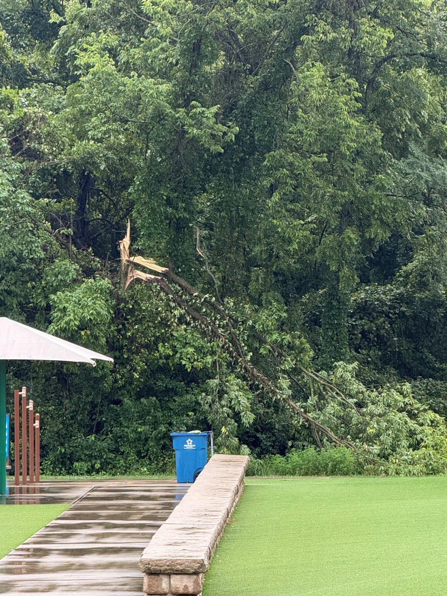 Storm damage at a Batavia Township park