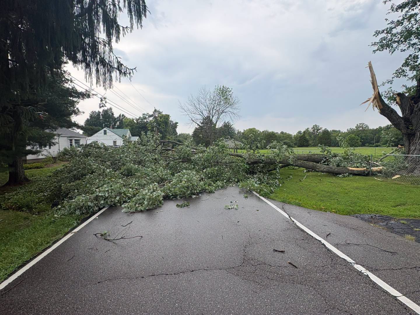 A fallen tree blocks Concord-Hennings Mill Road