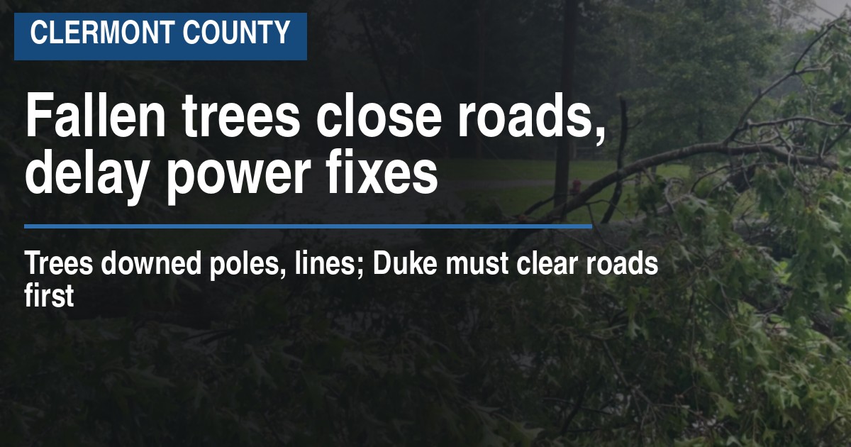 Fallen trees close roads, delay power fixes