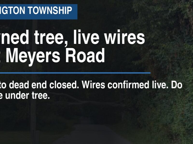 Downed tree, live wires shut Meyers Road