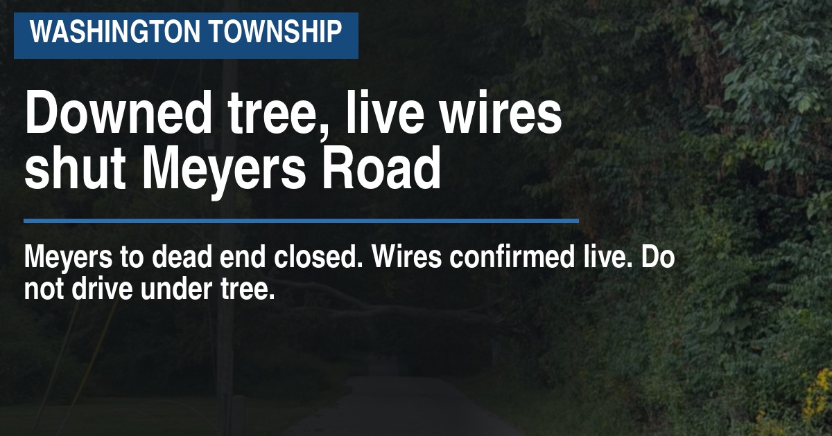 Downed tree, live wires shut Meyers Road