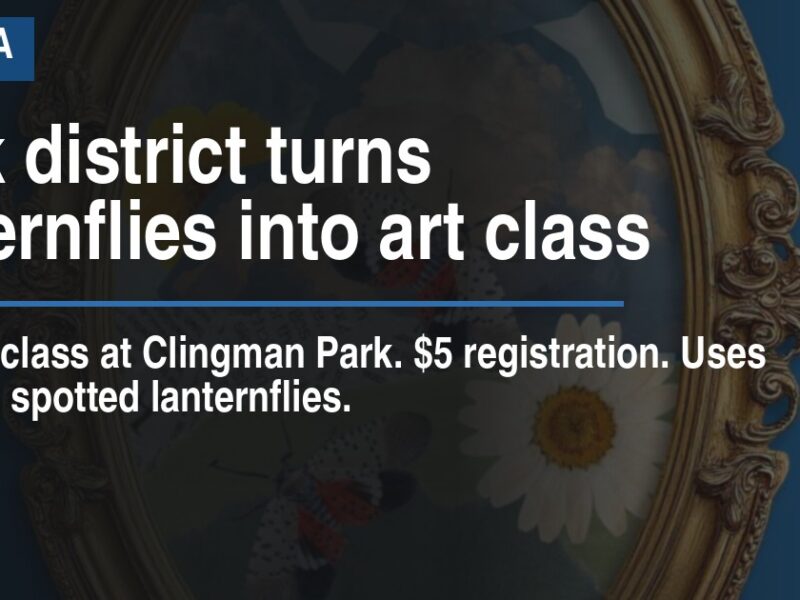 Park district turns lanternflies into art class