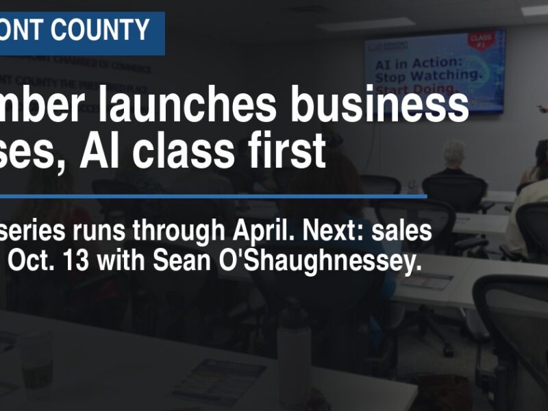 Chamber launches business classes, AI class first