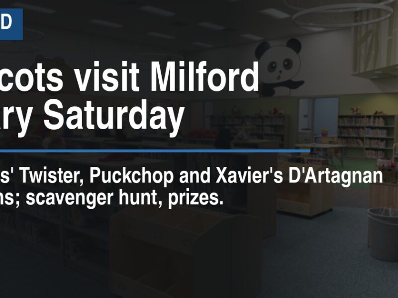 Mascots visit Milford library Saturday
