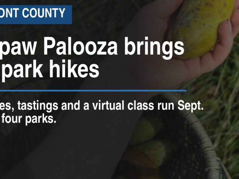 Pawpaw Palooza brings free park hikes