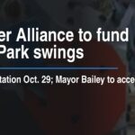 Chamber Alliance to fund Nisbet Park swings