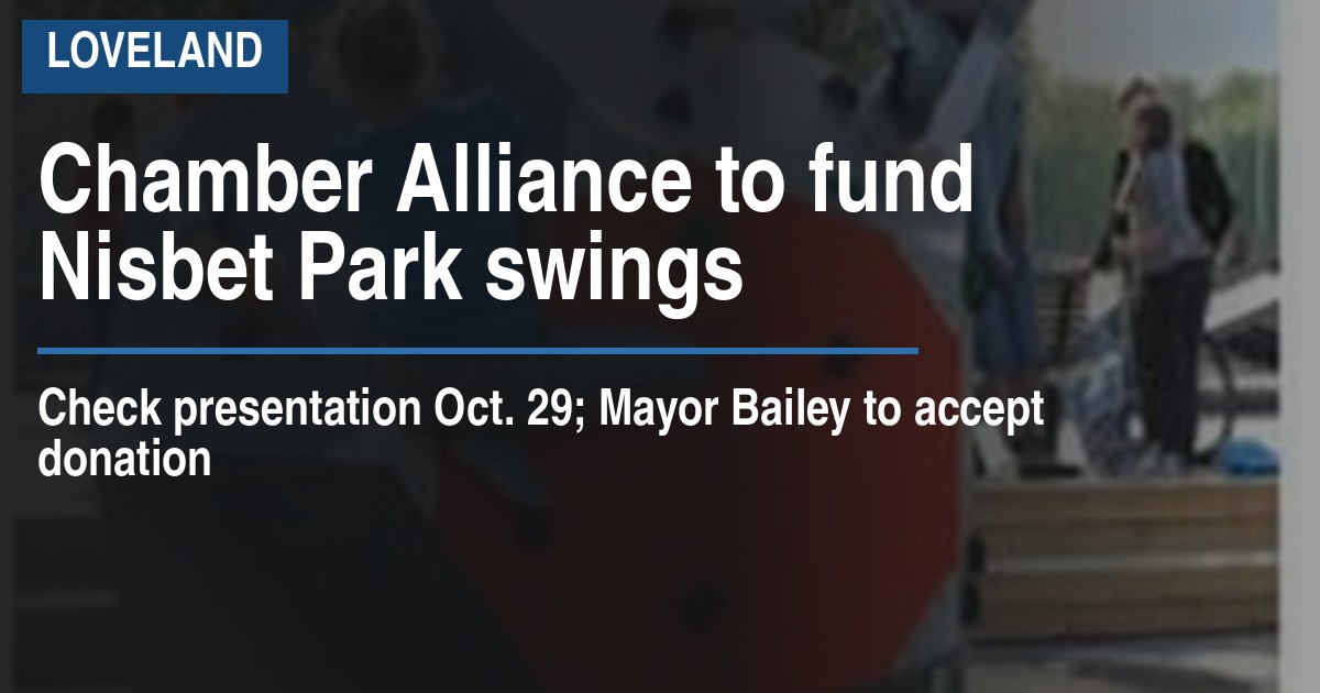 Chamber Alliance to fund Nisbet Park swings