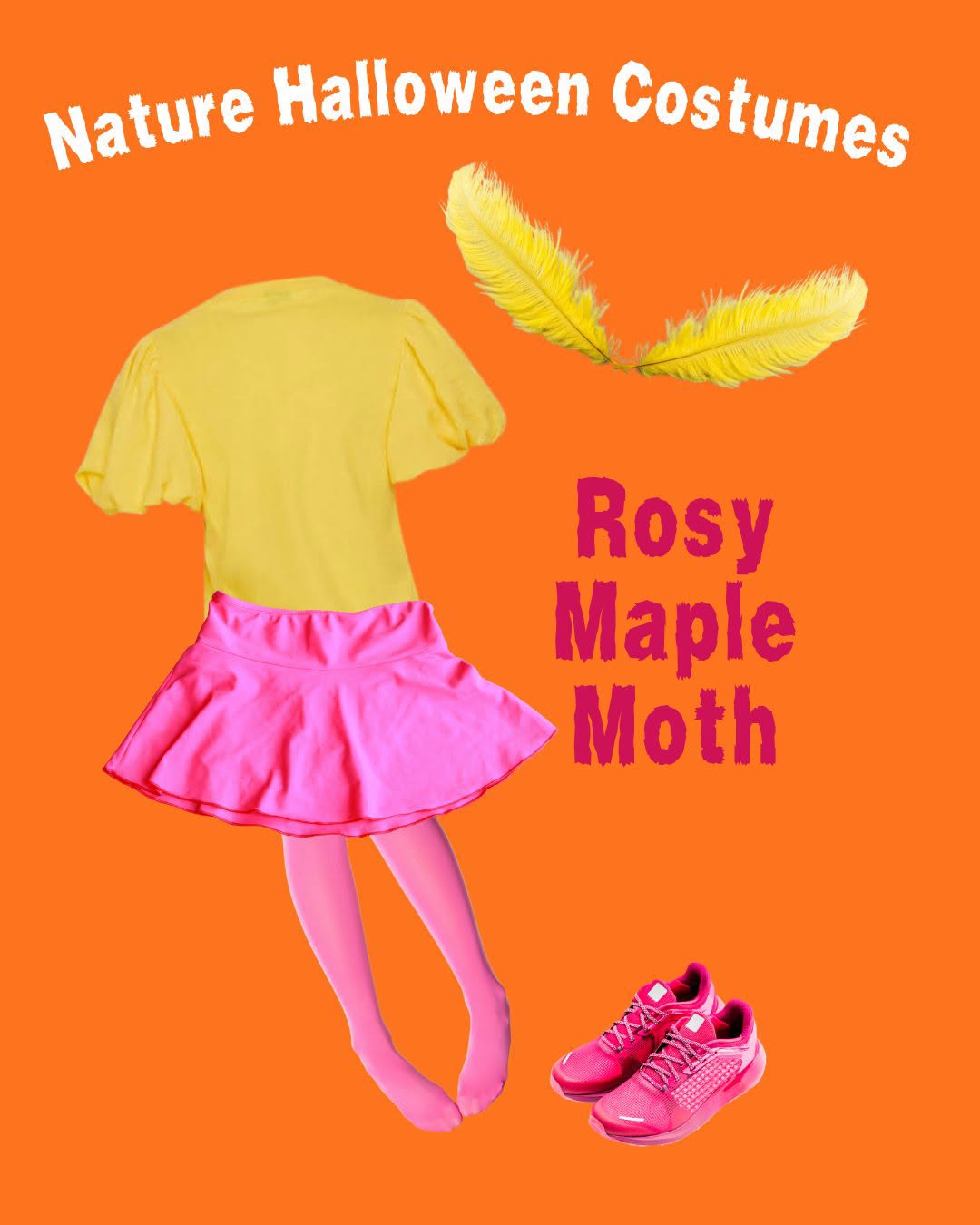 A rosy maple moth costume idea from the Clermont County Park District clothing swap