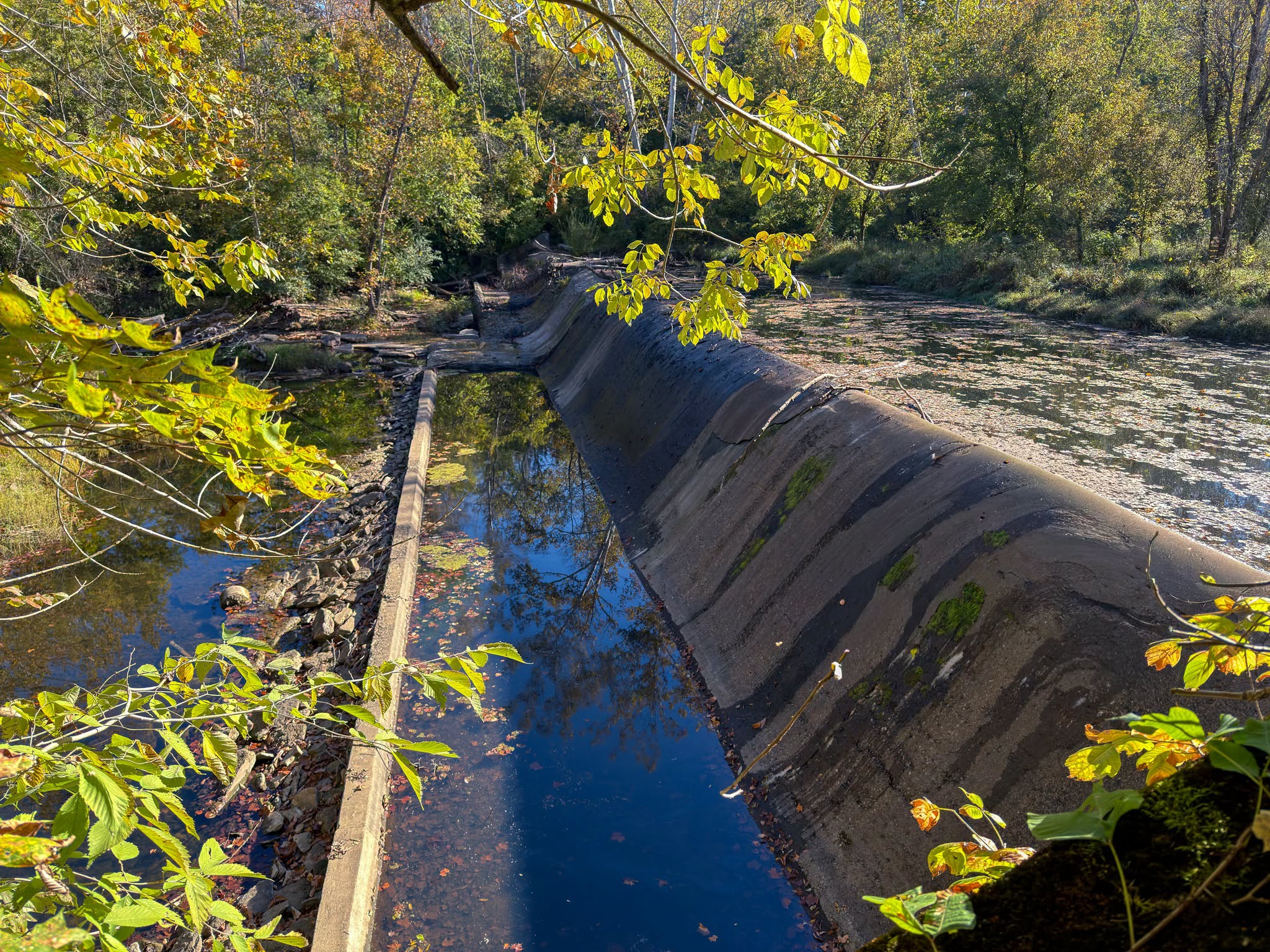 The low-head dam on Cloverlick Creek slated for removal