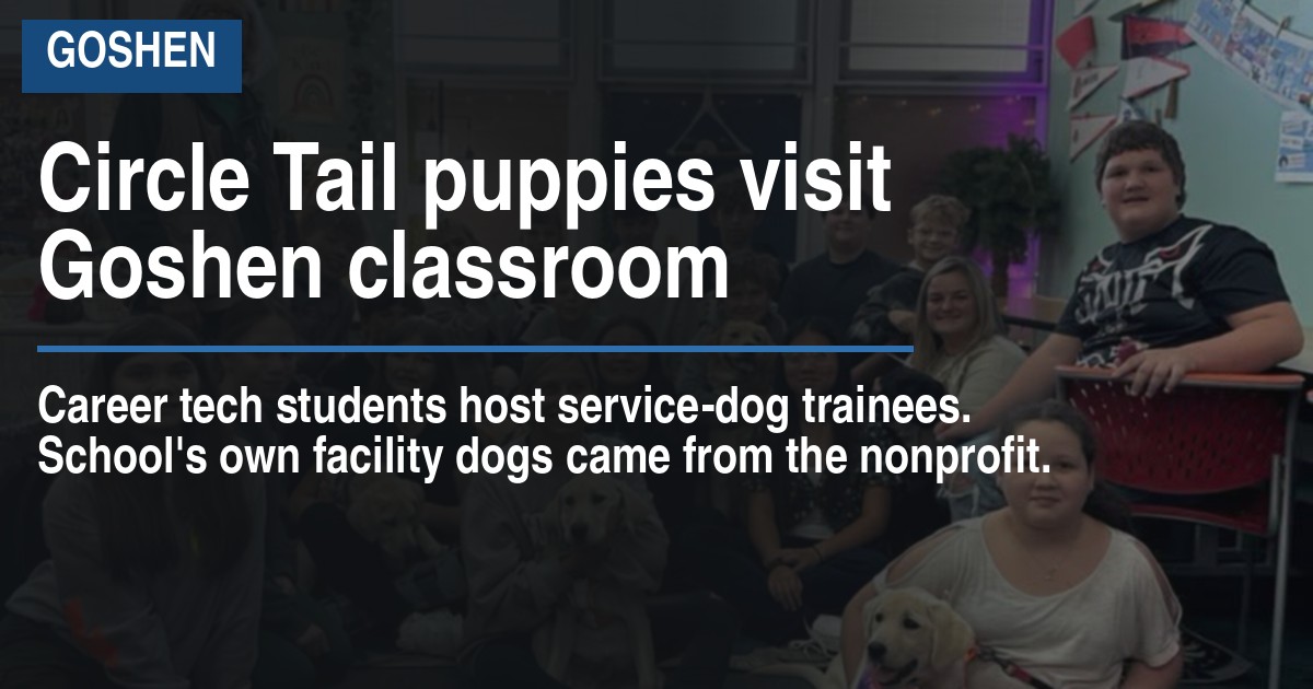 Circle Tail puppies visit Goshen classroom