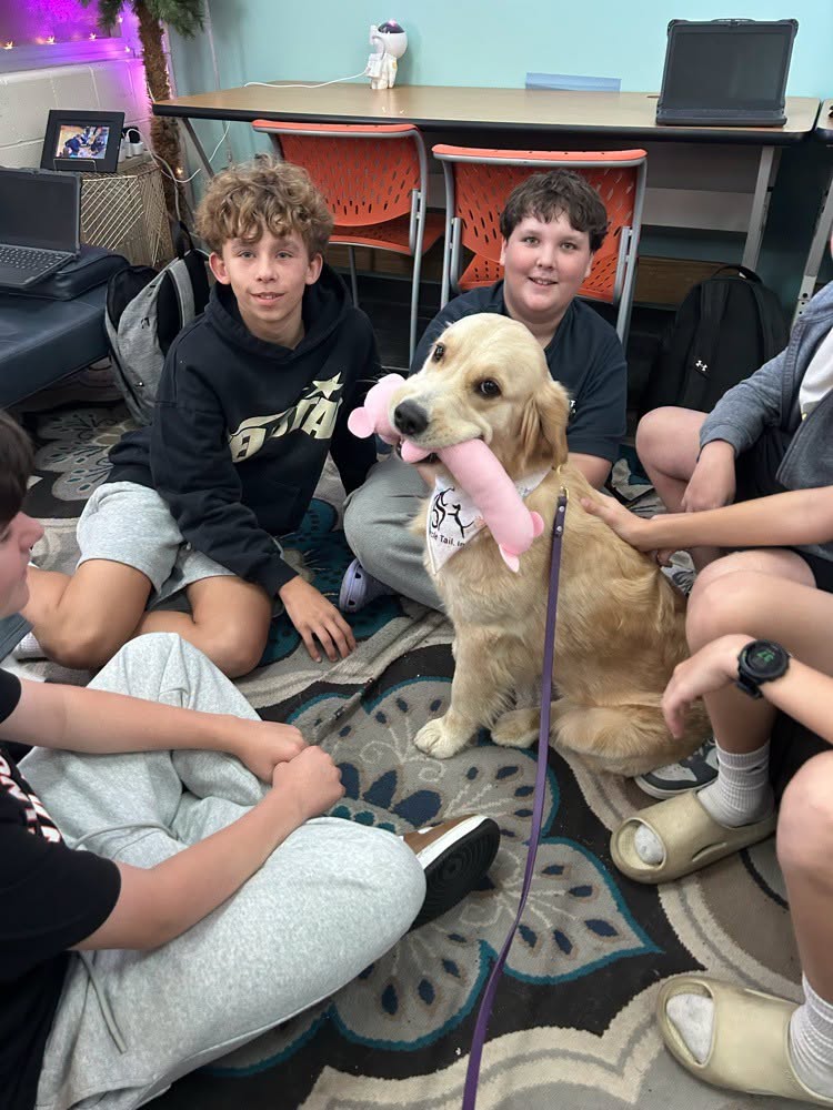 A Circle Tail puppy in training visits a Goshen Middle School classroom