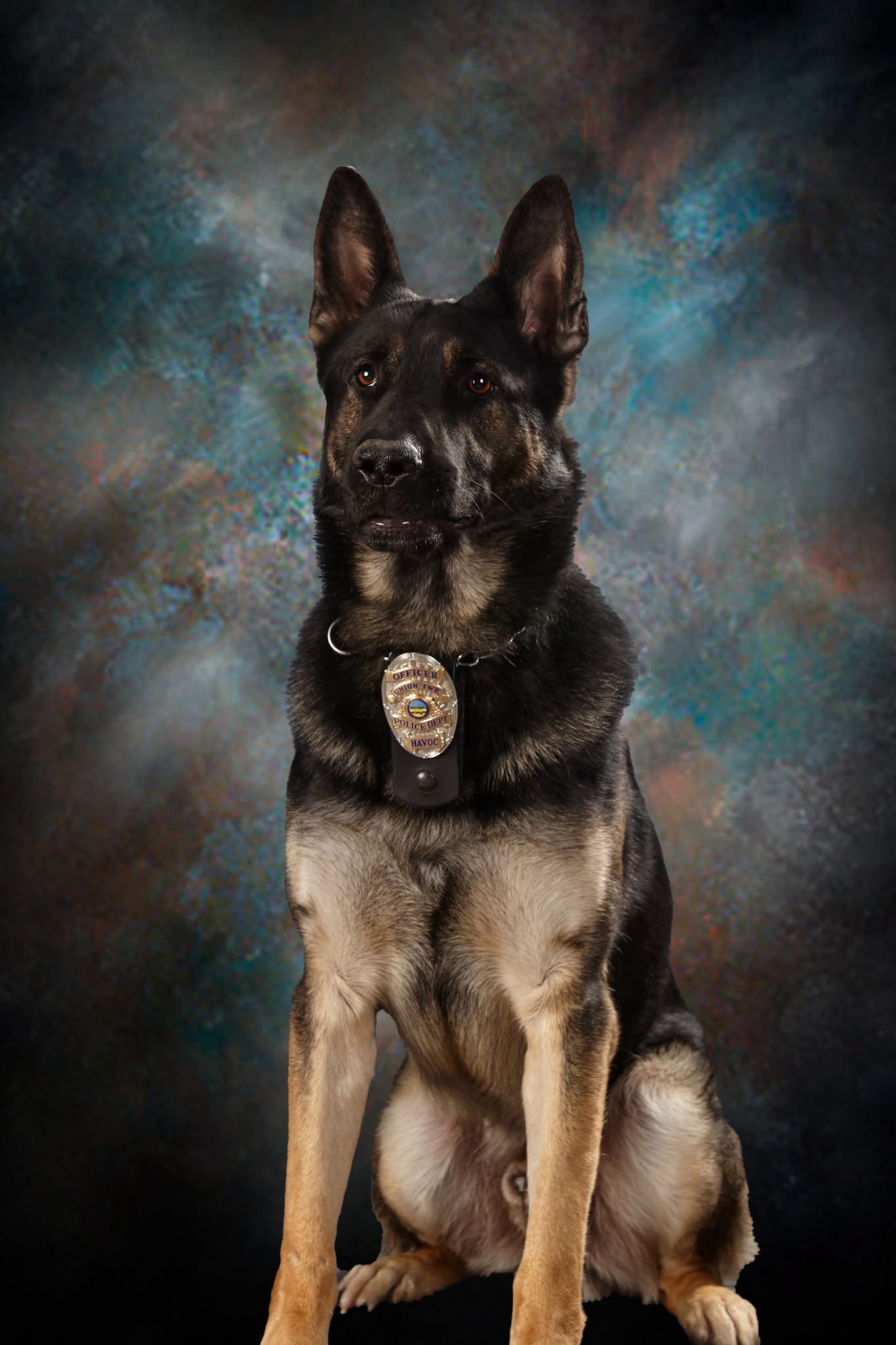 Union Township Police K9 Havoc